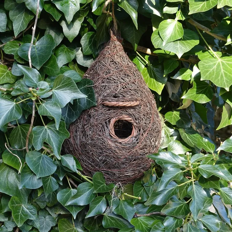birdhouse Kleinvögel
