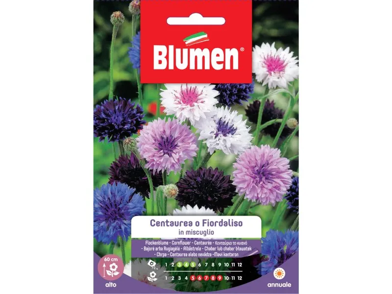 Blumen Centaurea o fiordaliso in miscuglio