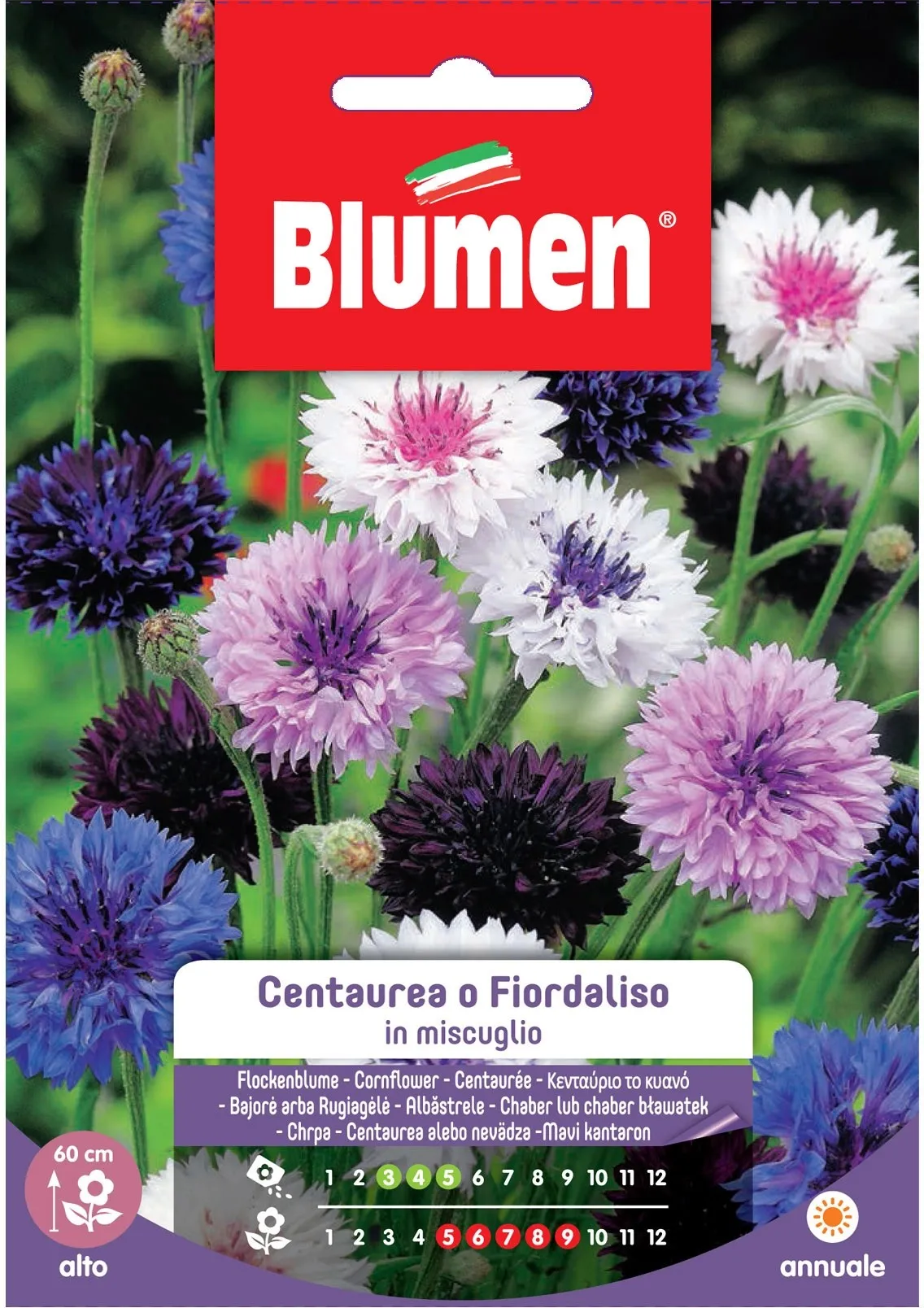 Blumen Centaurea o fiordaliso in miscuglio