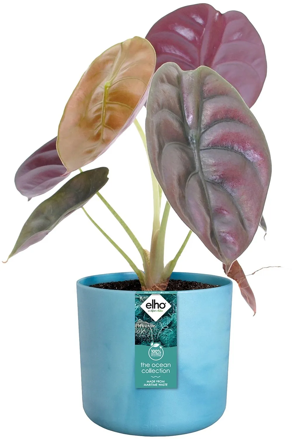 Coprivaso in plastica riciclata Elho Ocean Collection Ø 18 x H 17 cm blu