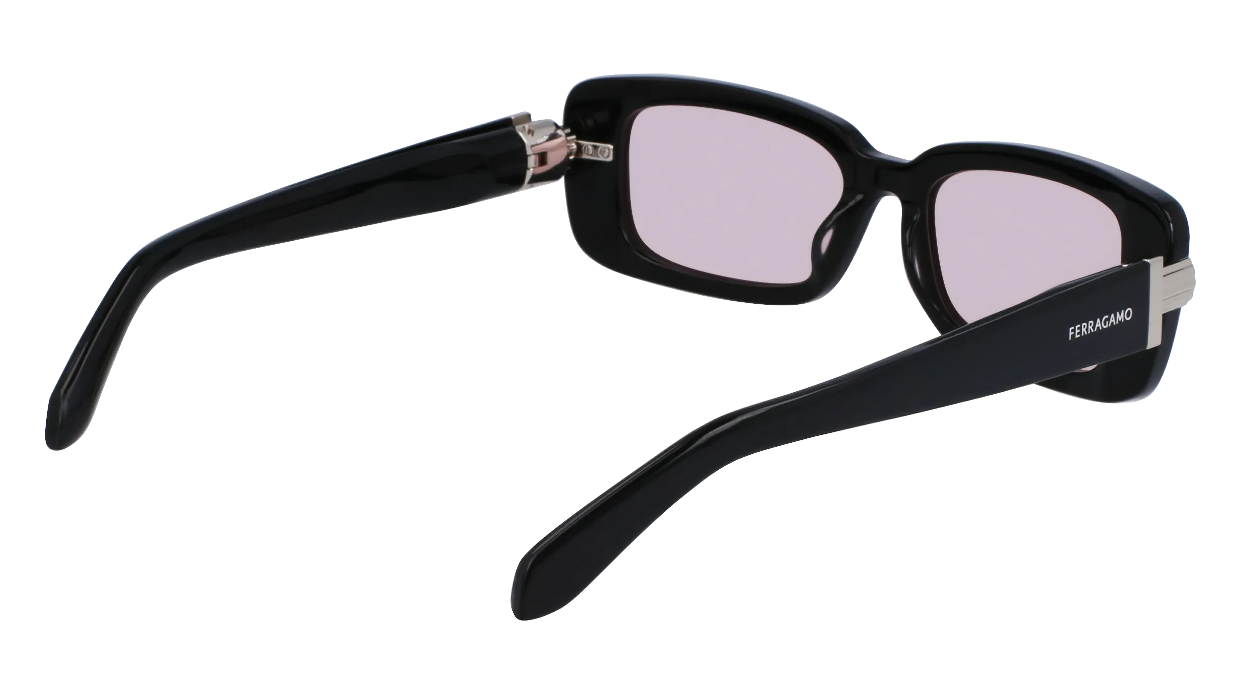   Ferragamo SF1105S 005