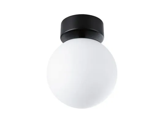 Gove LED Plafoniera IP44 3000K 900lm Matt Nero/Satin - Paulmann | Acquista online