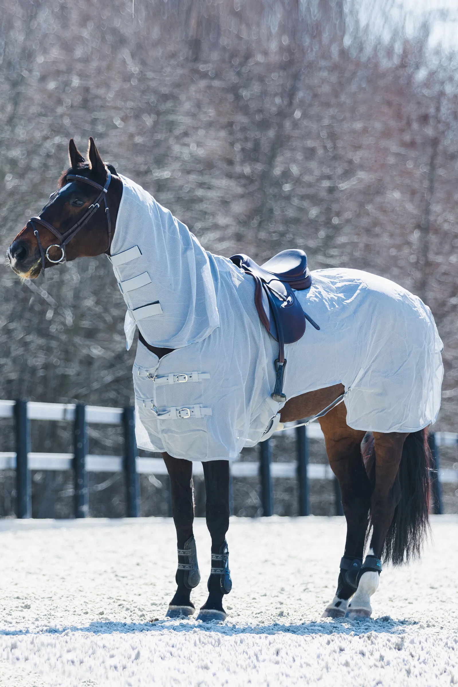 Horze Orleans Coperta da equitazione antimosche