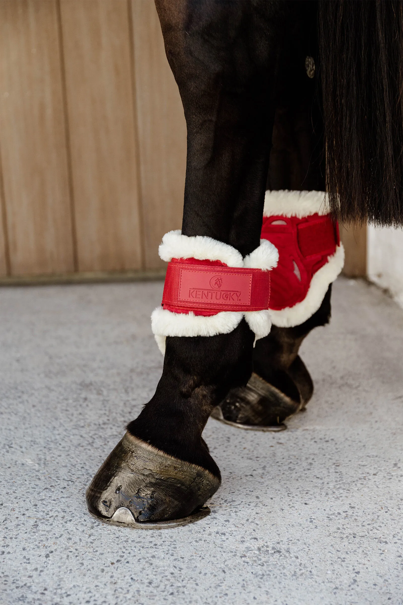 Kentucky Horsewear Vegan Sheepskin Young Horse Paranocche Velluto