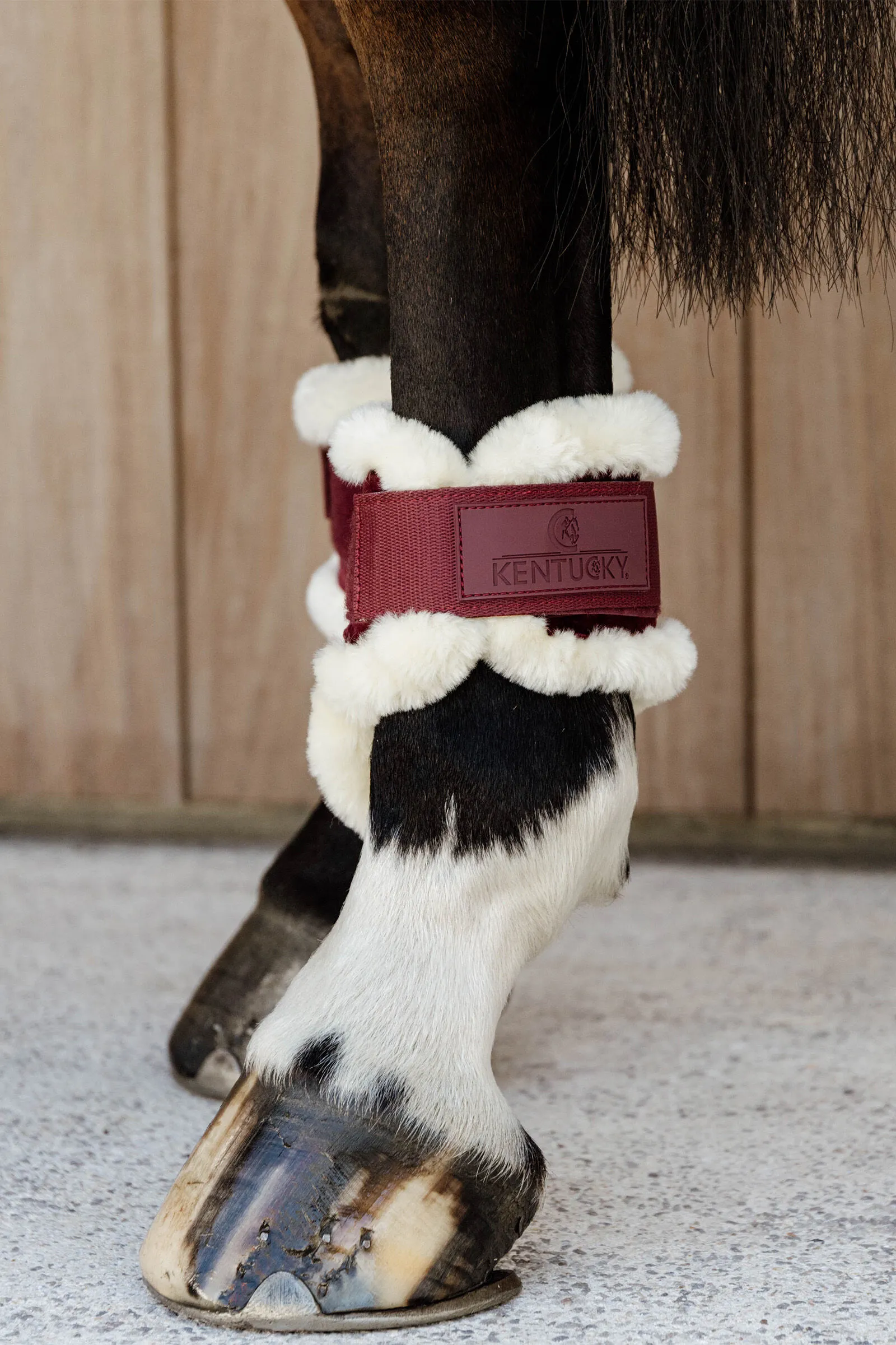 Kentucky Horsewear Vegan Sheepskin Young Horse Paranocche Velluto