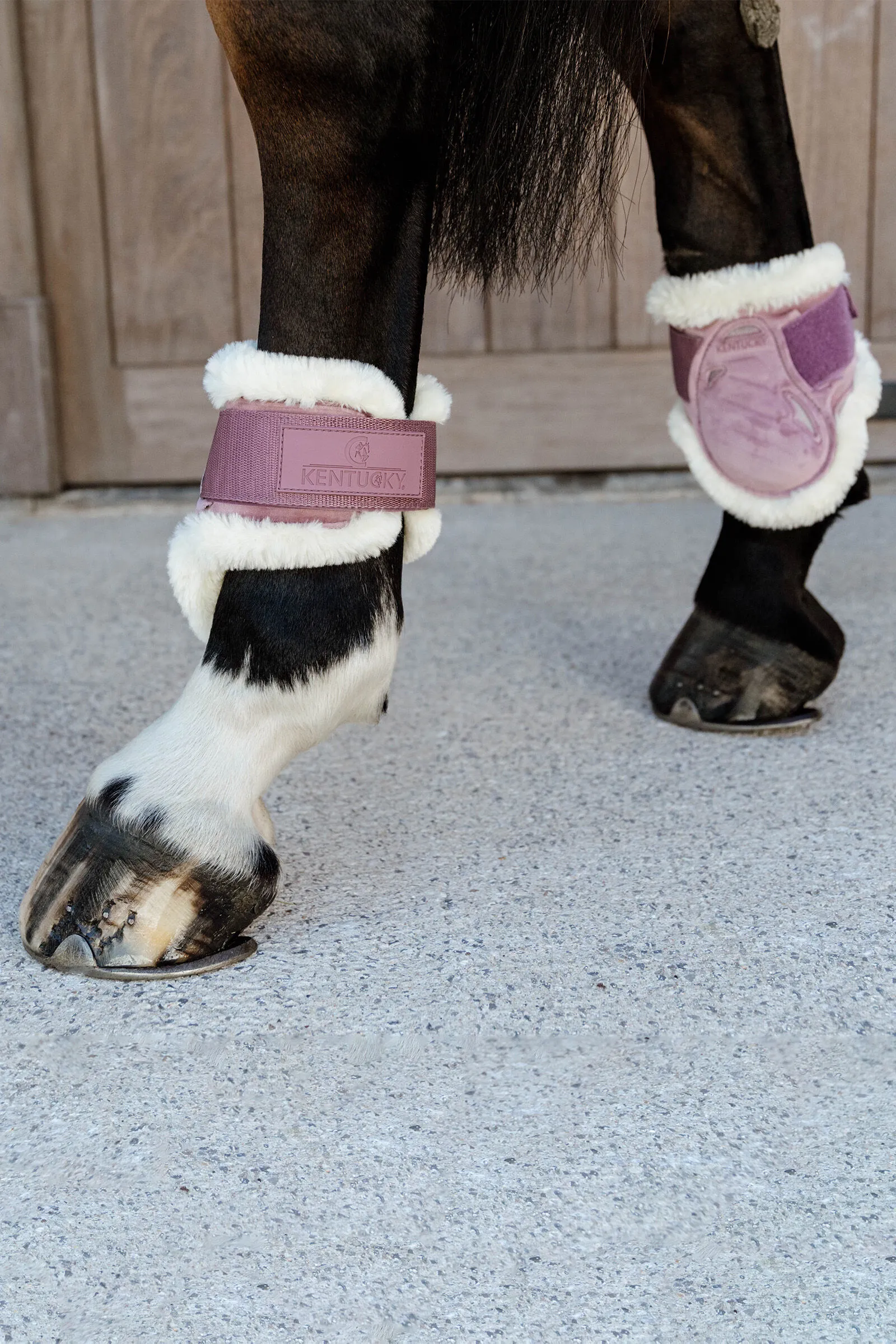 Kentucky Horsewear Vegan Sheepskin Young Horse Paranocche Velluto