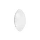 Ledvance Surface Circolare 250 13W 830 920lm Bianca IP44 | Luce Calda