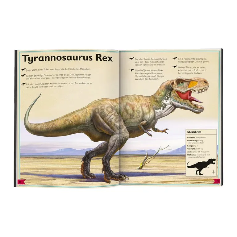 libro per bambini BUCH