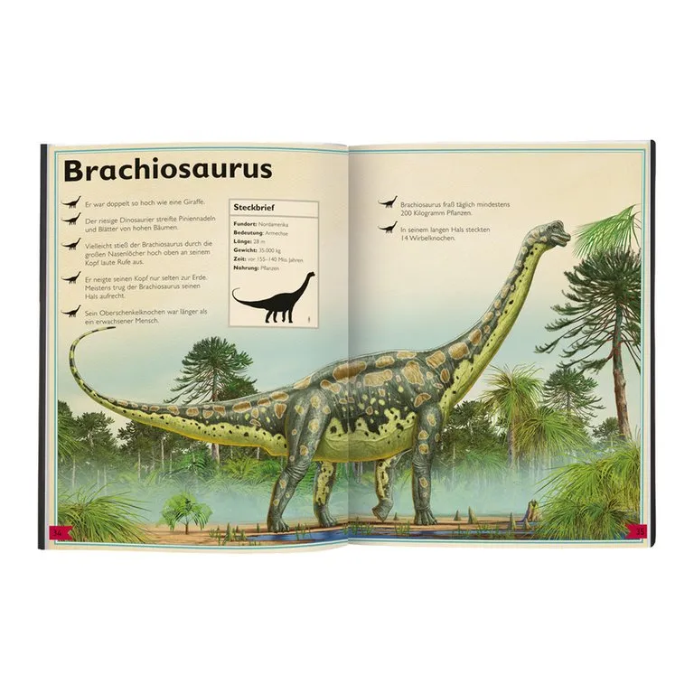libro per bambini BUCH